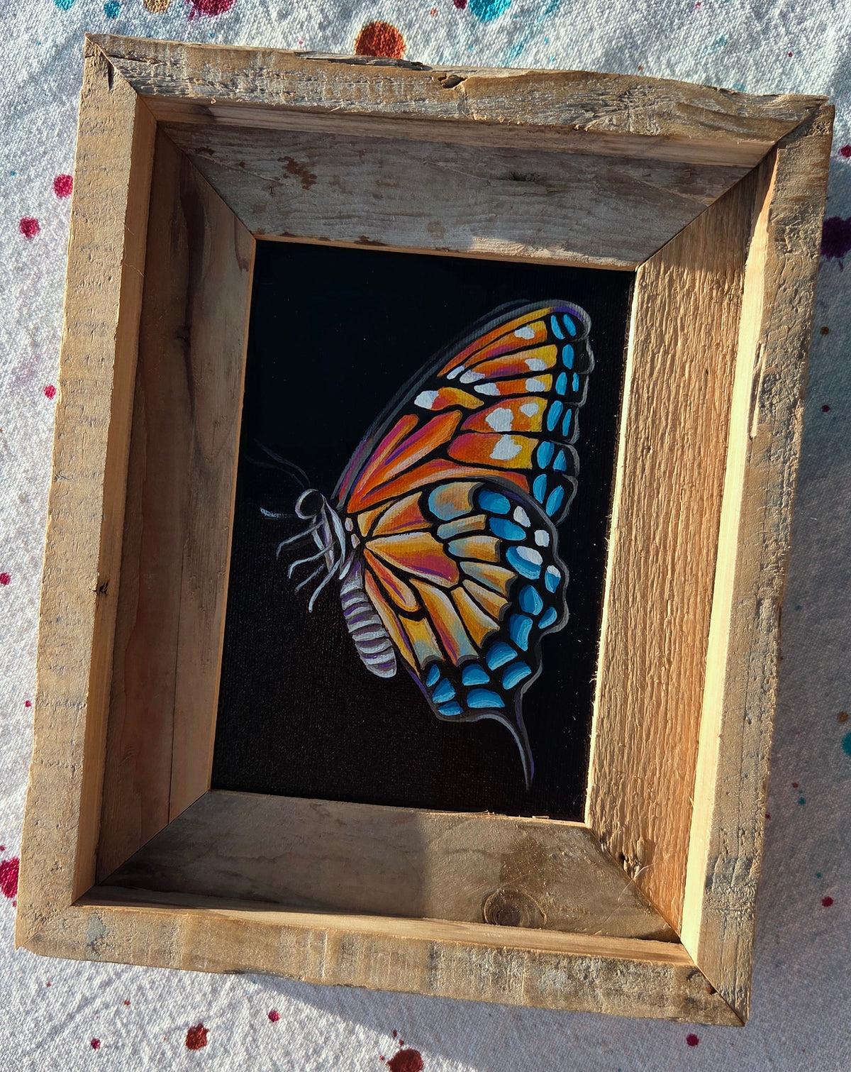 5x7 Framed Butterfly