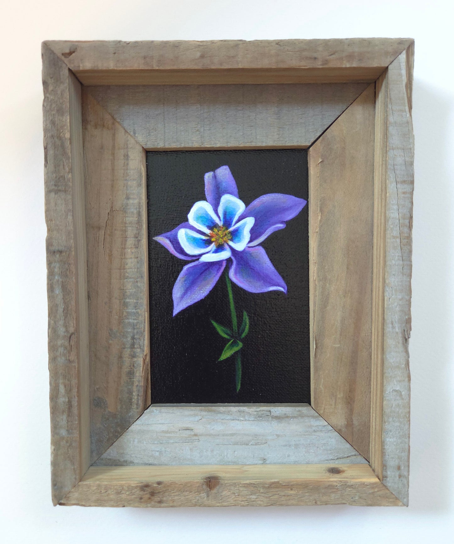 4x6 Mini Columbine V