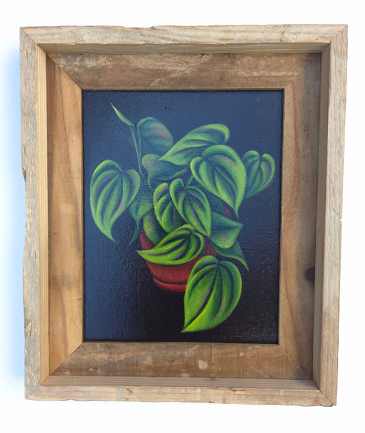 8x10 Philodendron Plant IV