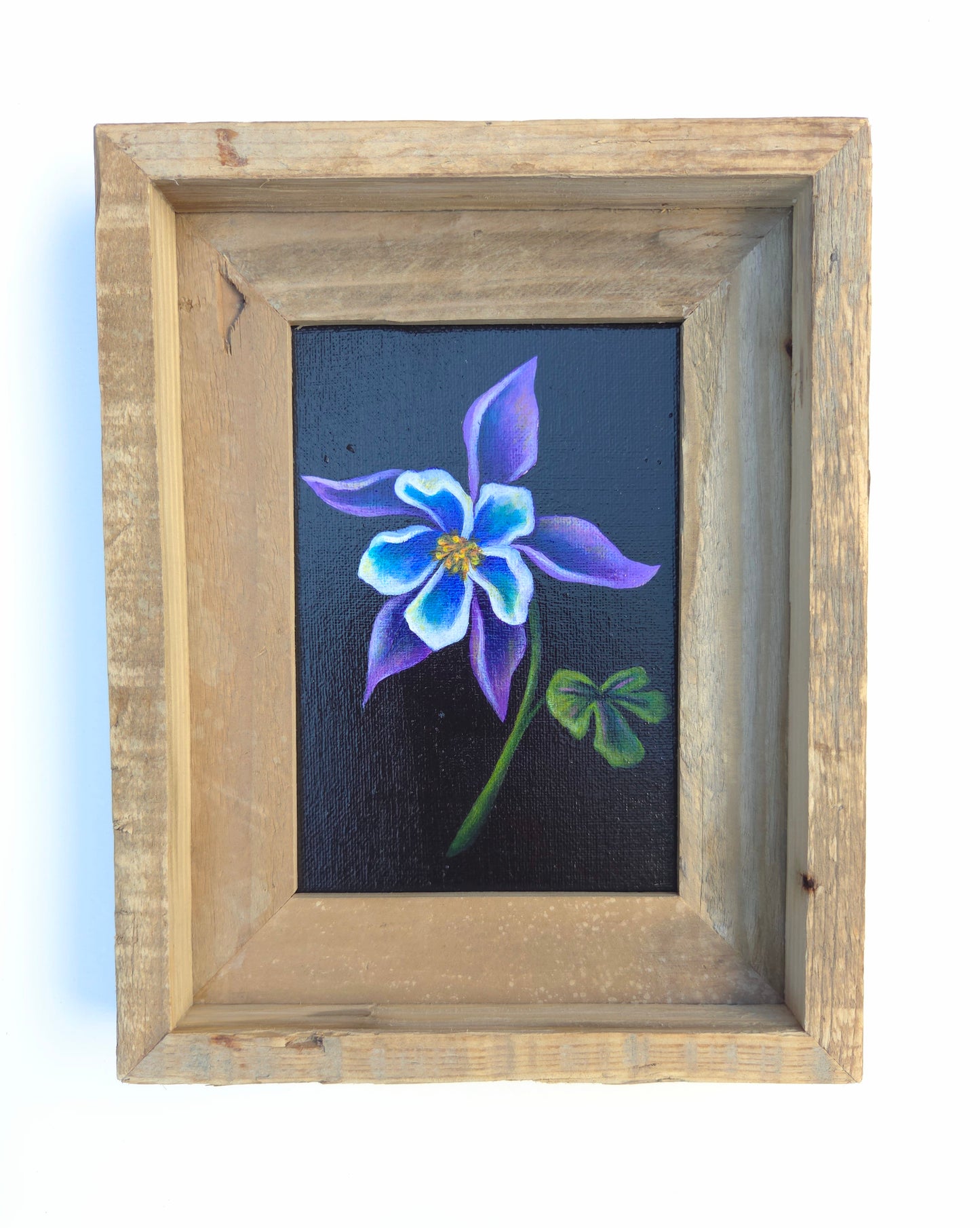 5x7 Framed Columbine V