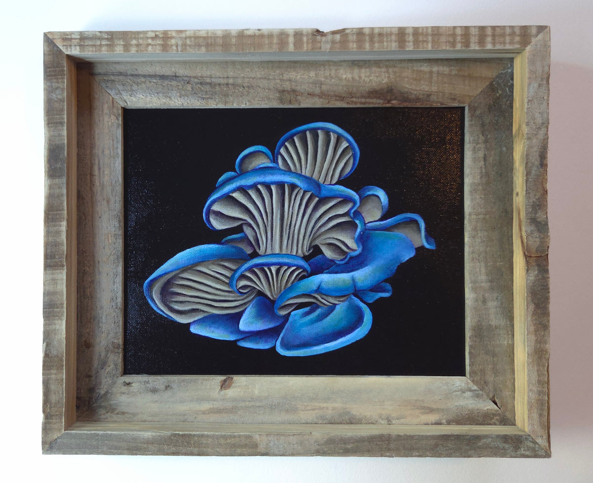 8x10 Blue Oyster Mushrooms III