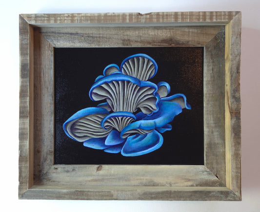 8x10 Blue Oyster Mushrooms III