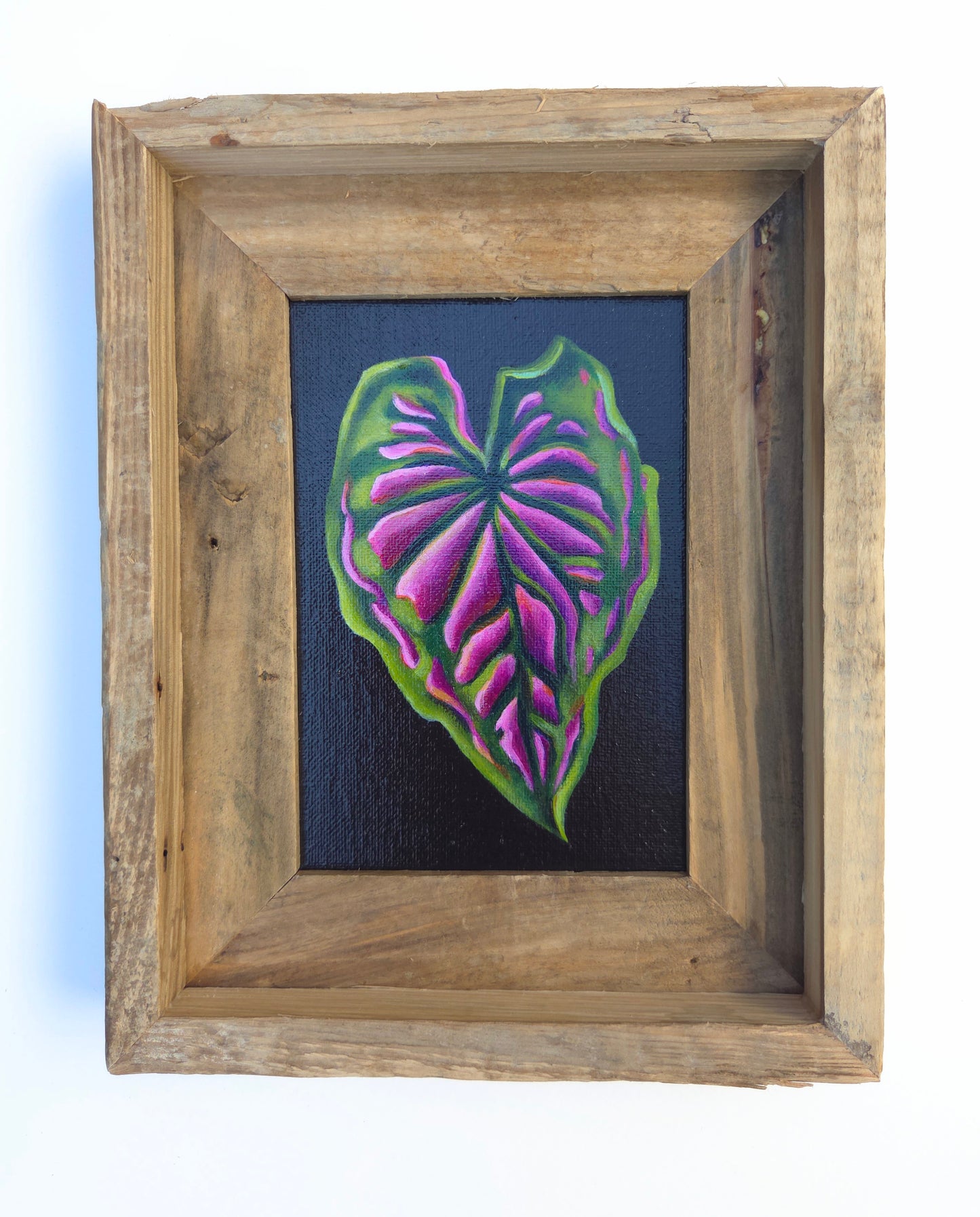 5x7 Framed Leaf IV