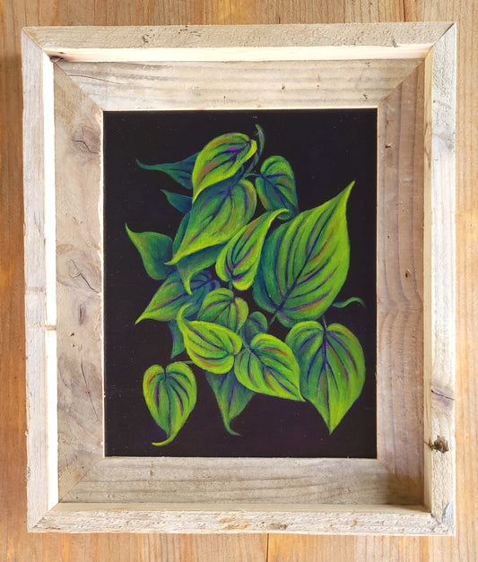 8x10 Framed Philodendron