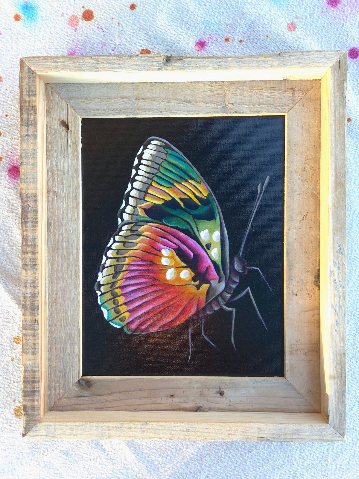 8x10 Butterfly IV