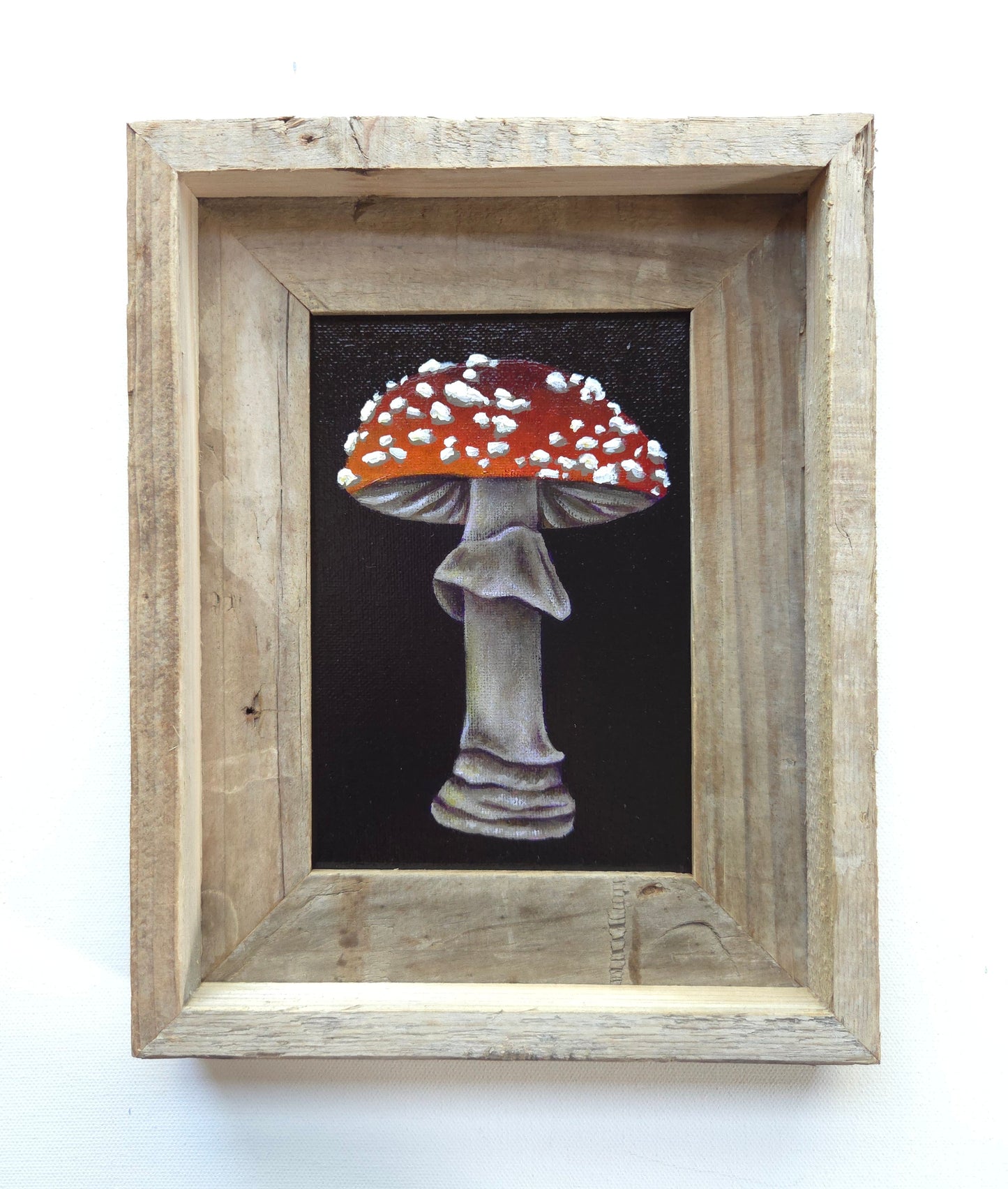 5x7 Framed Mushroom XI