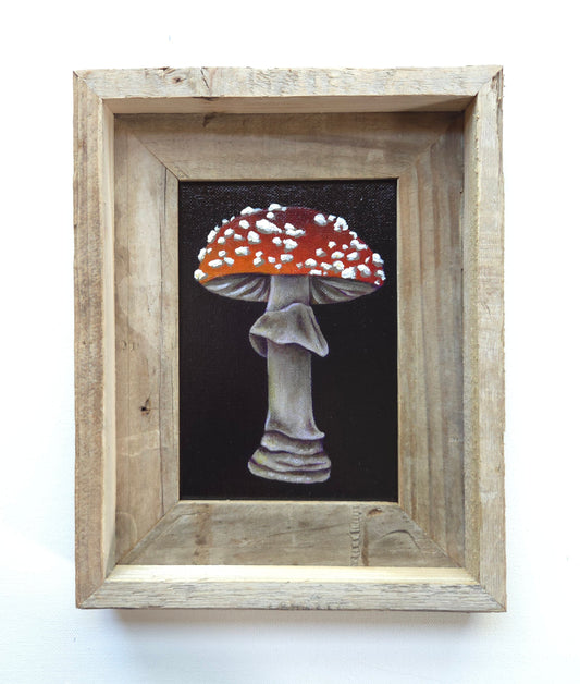 5x7 Framed Mushroom XI