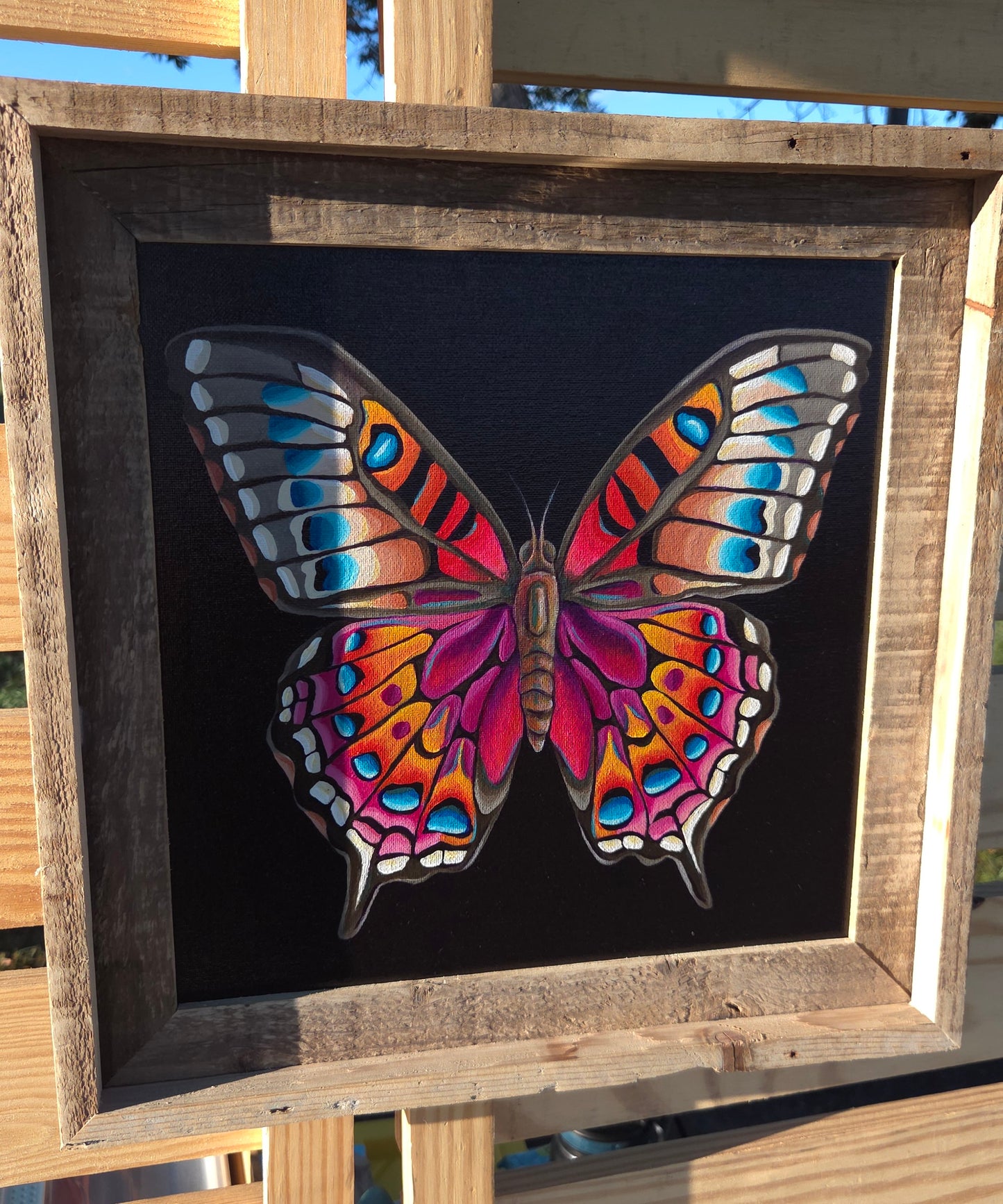 12x12 Sunset Princess Butterfly