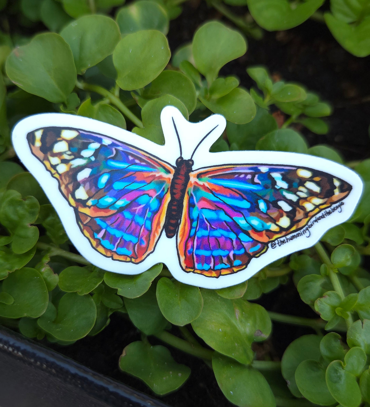 Rainbow Butterfly II Sticker