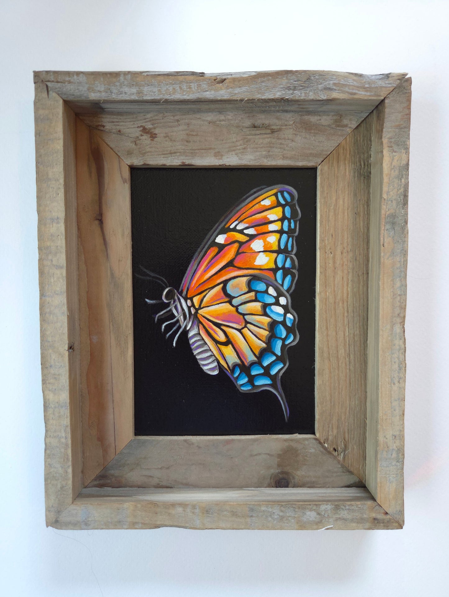 5x7 Framed Butterfly