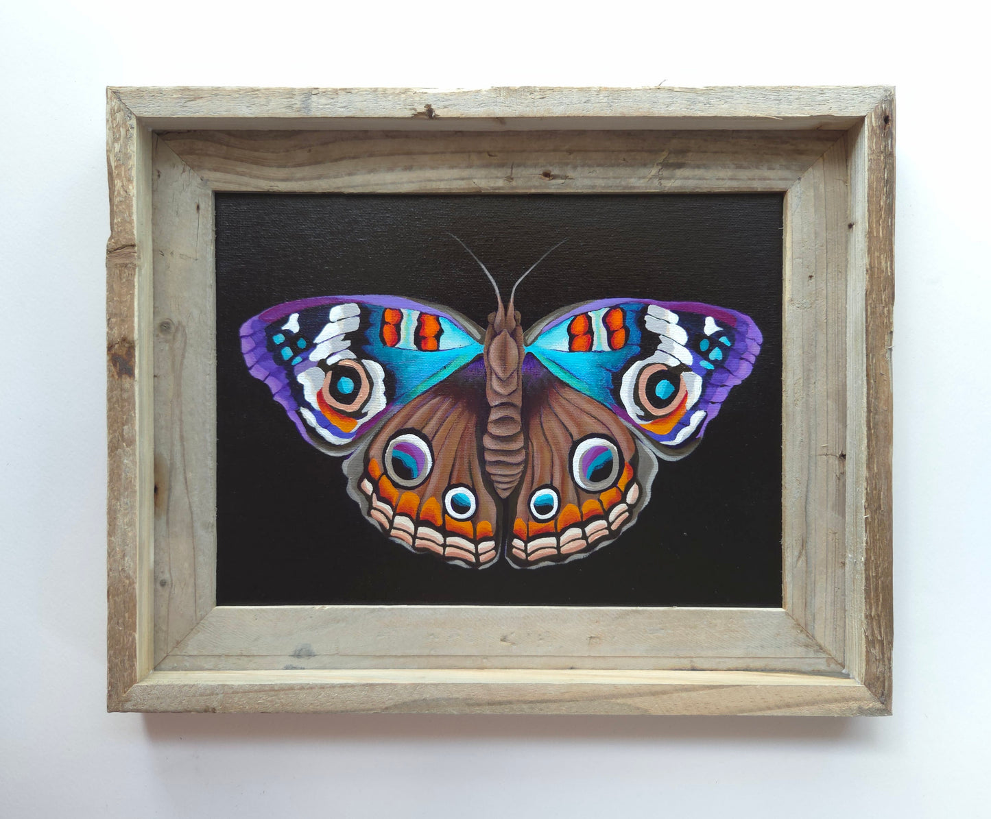 9x12 Sunset Butterfly