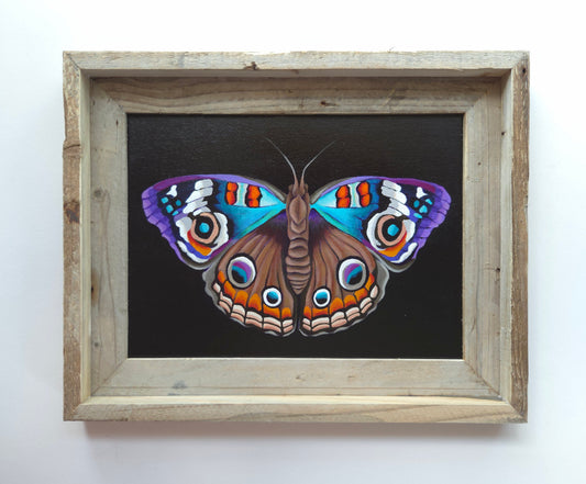9x12 Sunset Butterfly